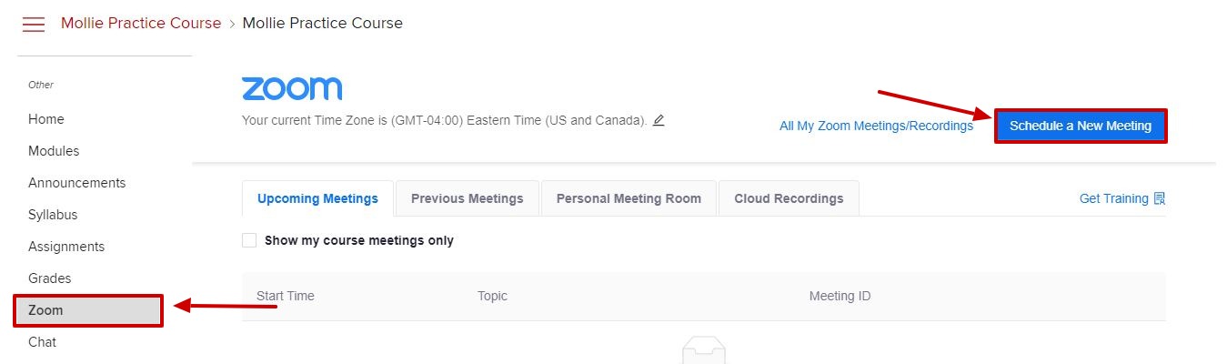 Click Zoom from course navigation, then click Schedule a New Meeting