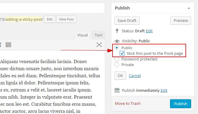 Stick this post to the front page checkbox under Public Visibility option in Publish widget