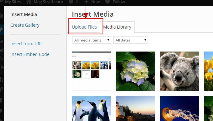 Upload Files tab on Insert Media window