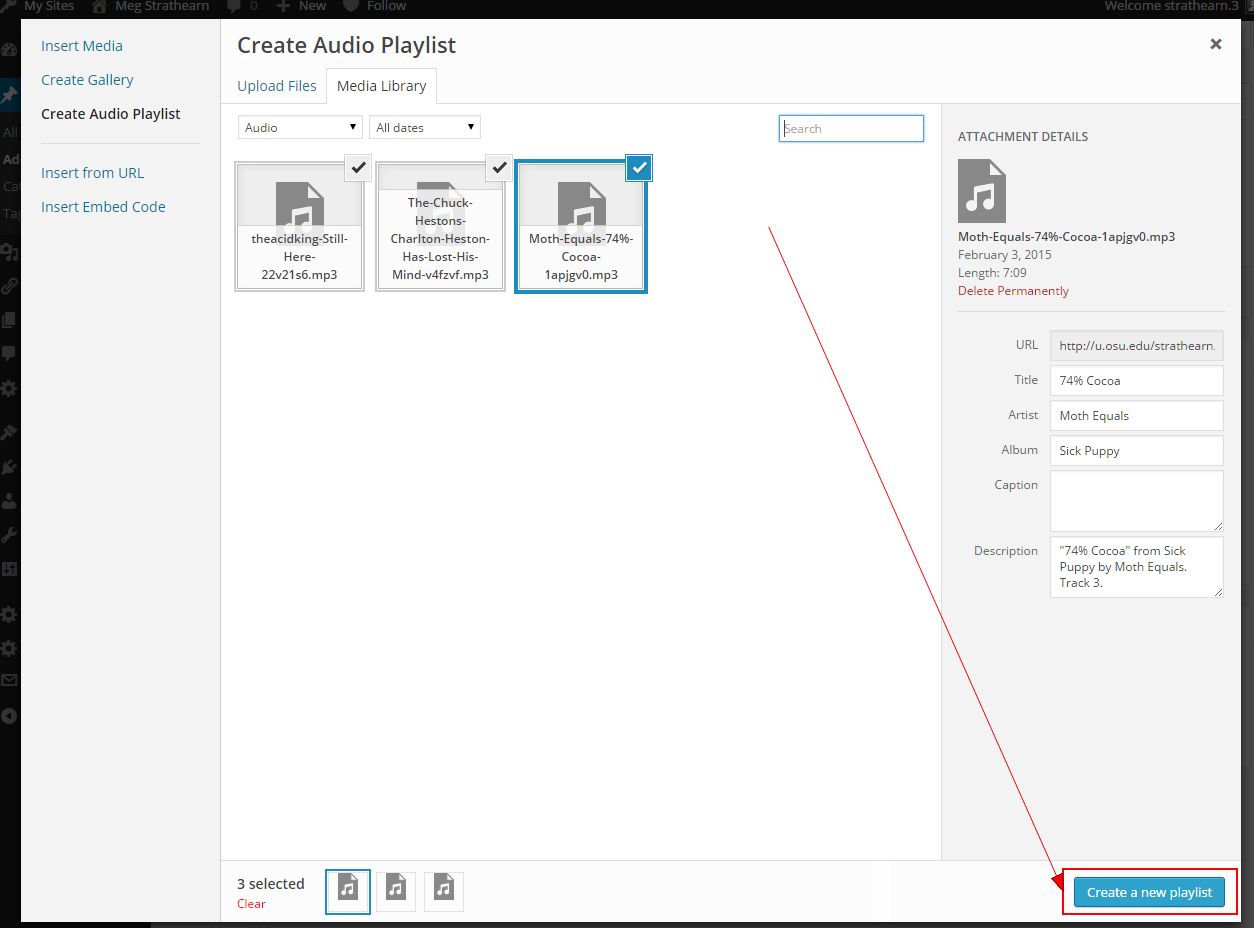 MP3 files selected on Create Audio Playlist window with Create a New Playlist button at the bottom