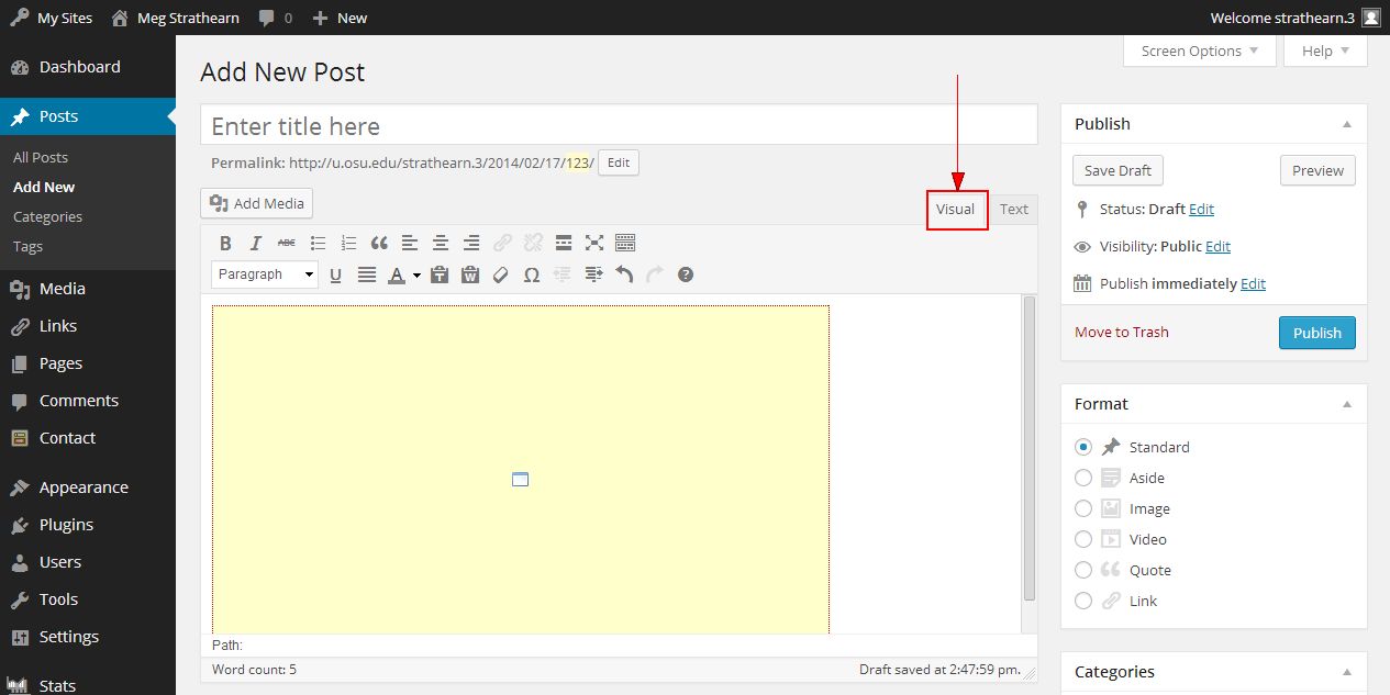 Video placeholder graphic in content editor window under Visual tab