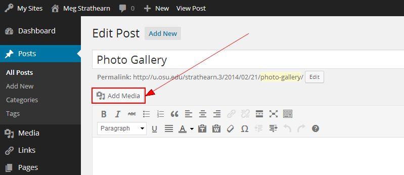 Add Media button above content editor on Edit Post titled Photo Gallery