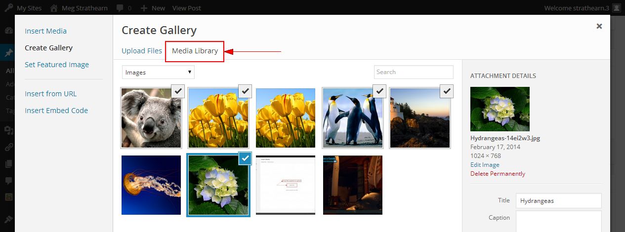 Selected image files to include under Media Library tab on Create Gallery window