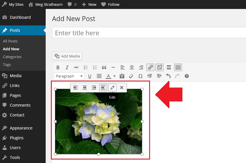 Image inserted into content editor with alignment icons and edit image pencil icon displayed on top of the image in Add New Post page
