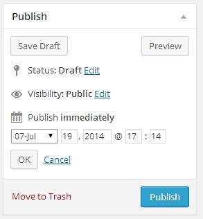 Options available in the Publish widget are described below