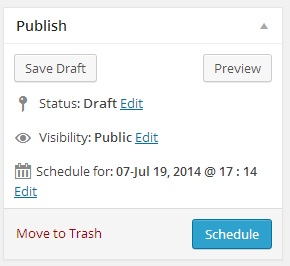Publish widget set to schedule at a future date