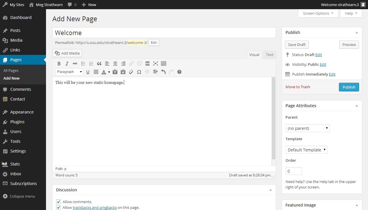 Add New Page edit screen with title field, wysiwyg body editor, and publish widget