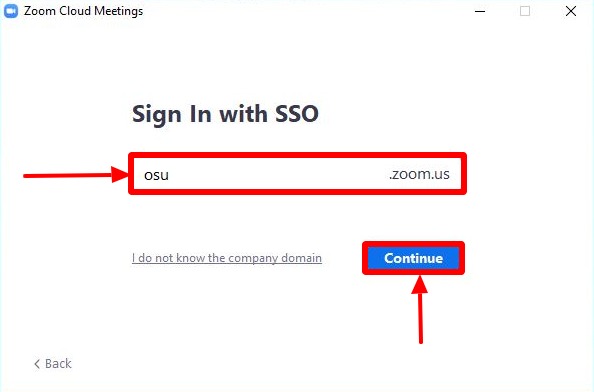 Sign In with SSO screen