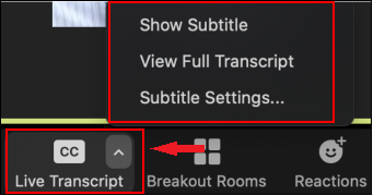 Click arrow next to Live Transcript to see options