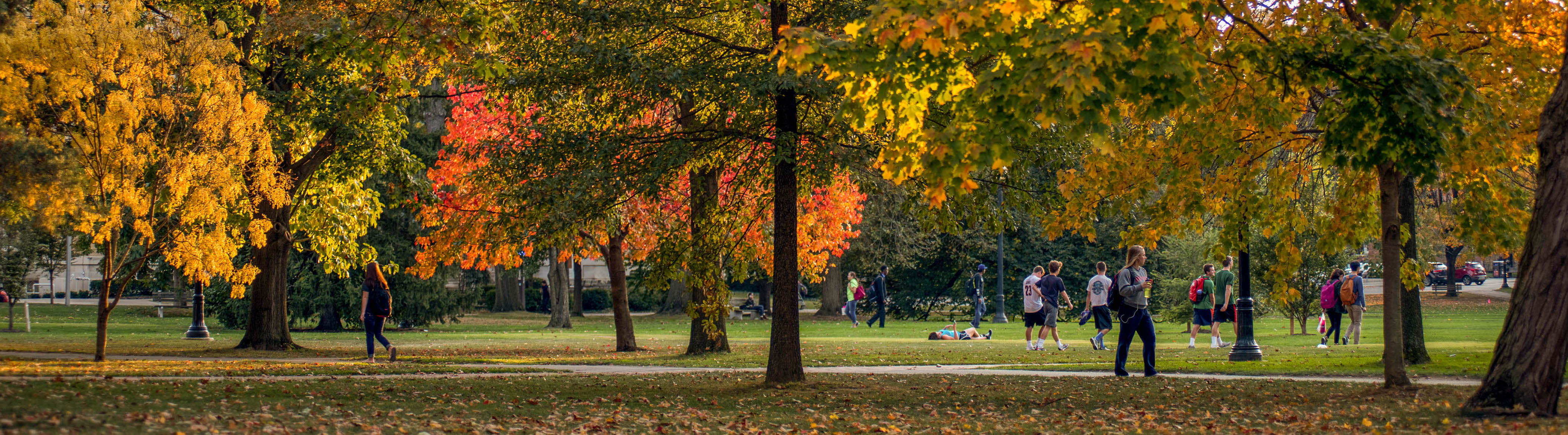 Student walk on the Ohio State main campus in fall.