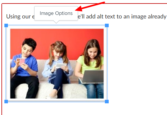 Click image then Image Options