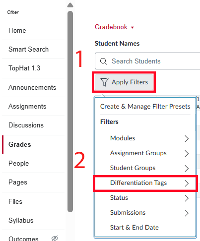 Differentiation Tags button in Filter settings