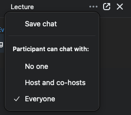 Save chat button in CarmenZoom
