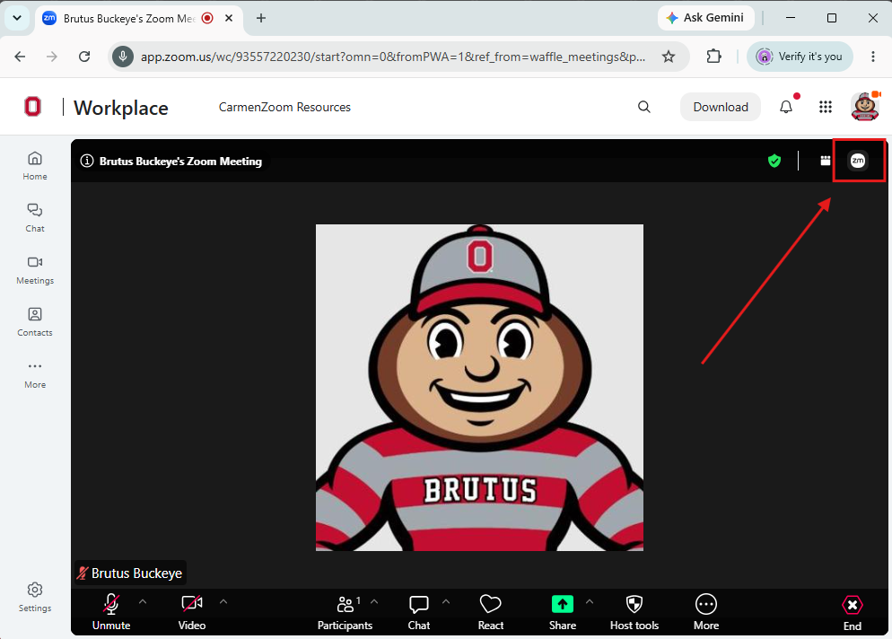 Image of a Zoom meeting within a browser window, with an arrow pointing to a ZM logo