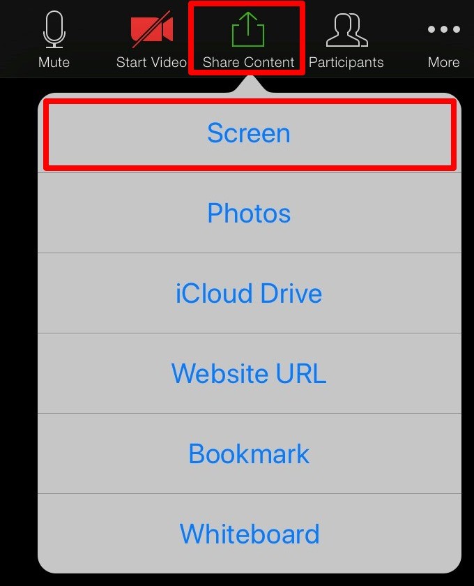 Screen option under Share Content on iPad Zoom app