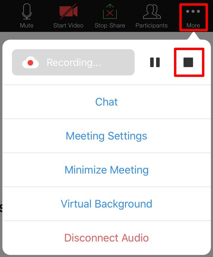 Square button to stop the recording under More settings on iPad Zoom app