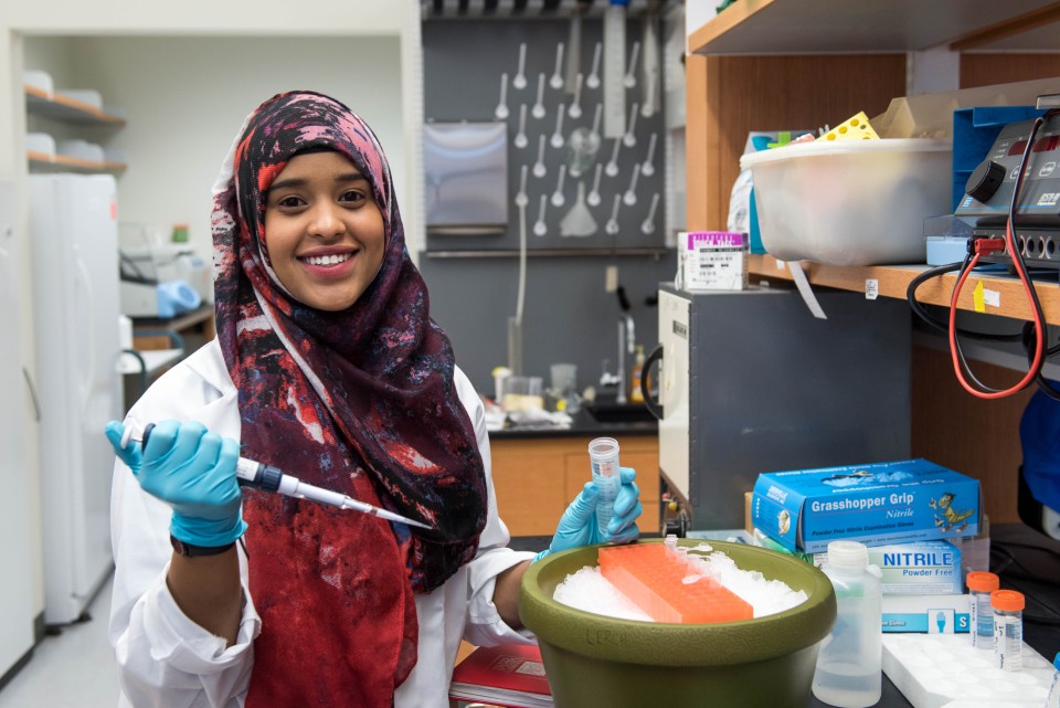 Student working in a lab.