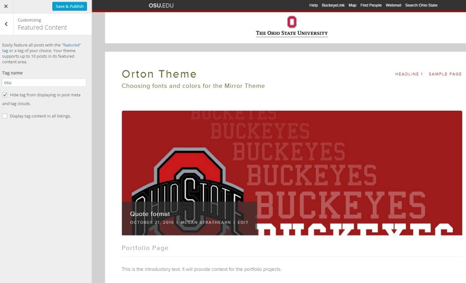 Featured content example on Orton Theme site