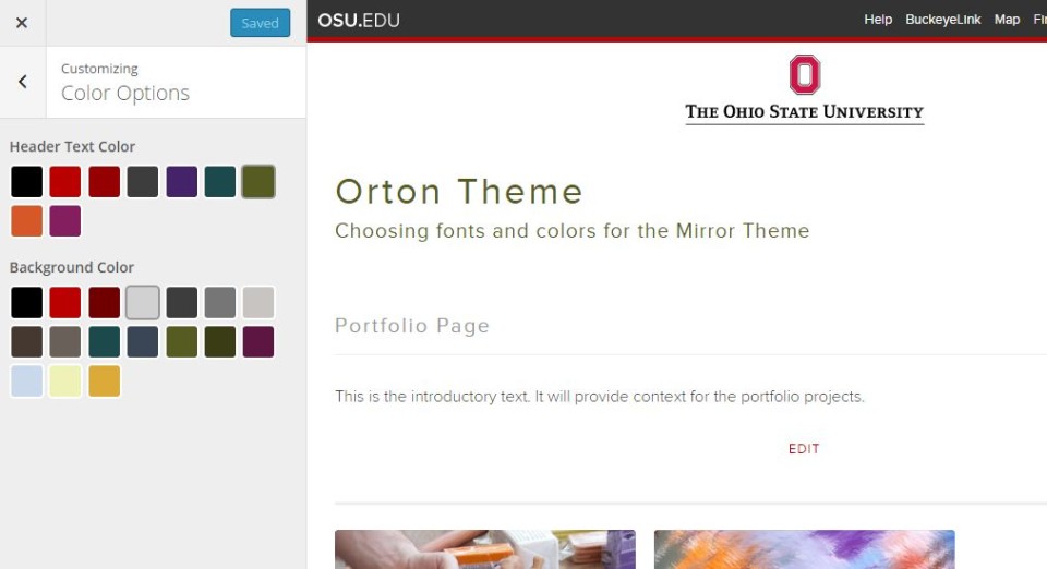 Header text color and background color swatch options on Orton Theme customizer