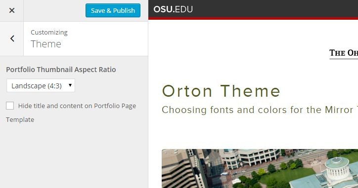 Portfolio Thumbnail Aspect Ratio select box on Orton Theme customizer