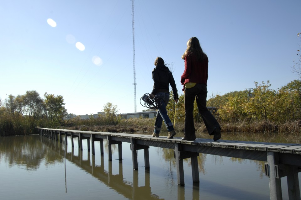 Student researchers on a boardwalk at a wetland.