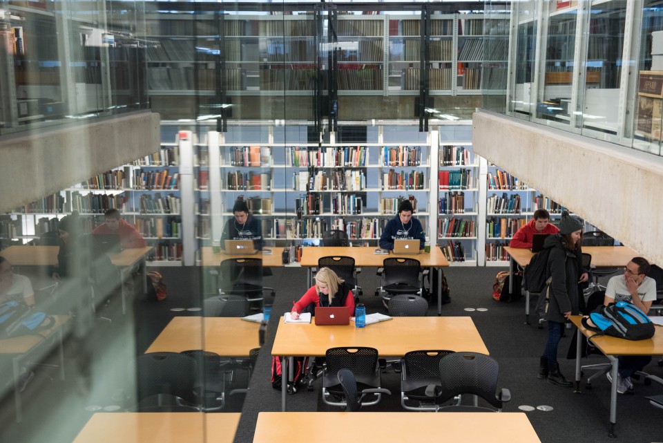 Students studying at the library.