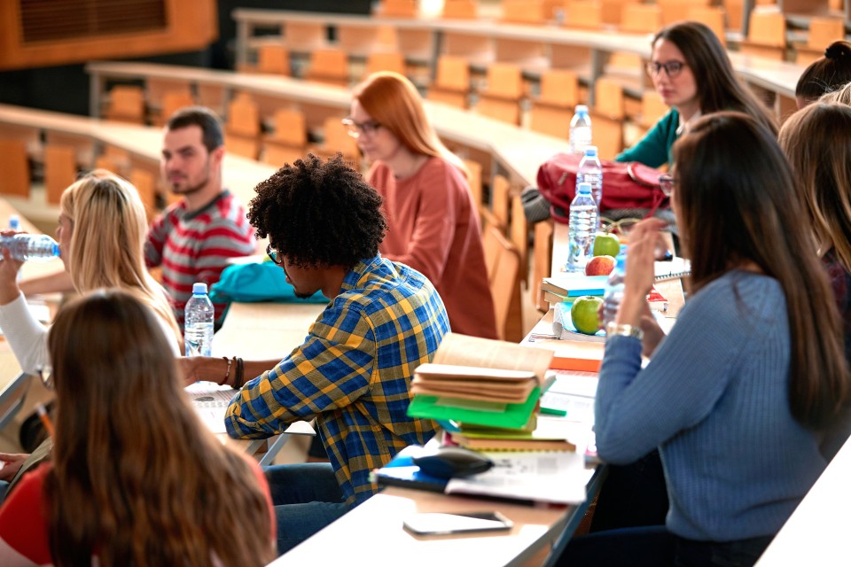 College students working in class.