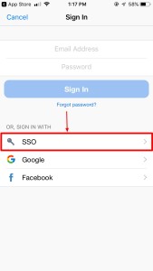 SSO option on sign in page of Zoom app