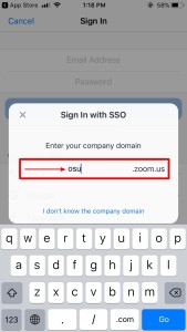 Sign in with SSO dialogue box on Zoom app
