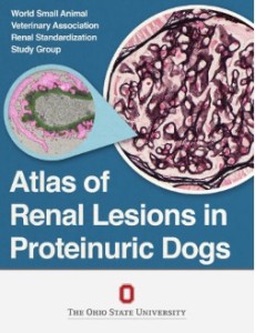 Cover image of Atlas of Renal Lesions in Proteinuric Dogs
