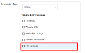 File Uploads option
